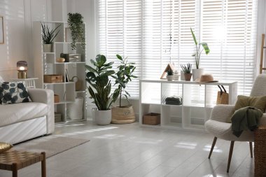 Rahat bir kanepe, diğer mobilyalar ve kapalı alandaki yeşil bitkiler. İç tasarım