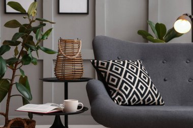 Rahat kanepe ve dekorlu oturma odası. İç tasarım