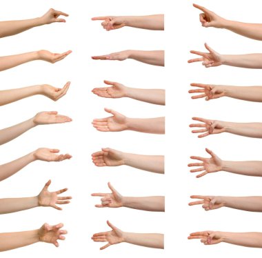 Beyaz arka planda kadın elleri. Jest koleksiyonu