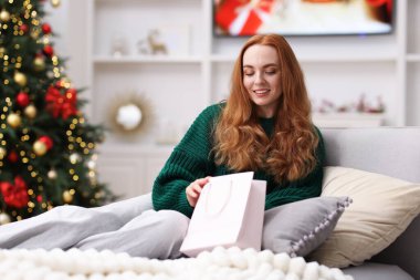 Kanepede alışveriş çantasıyla gülümseyen kadın rahat bir odada bulanık ışıklara karşı. Mutlu Noeller ve mutlu yıllar.