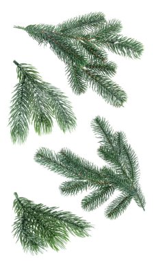 Sidretü 'l-Münteha (uzak ağaç) larda,