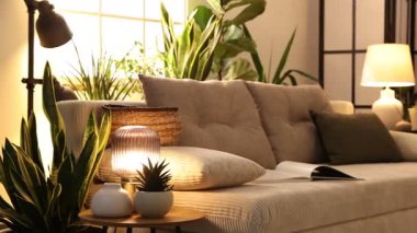 İç dizayn. Kanepesi ve çiçekleri olan şık bir oturma odası. Kamera sağa hareket ediyor