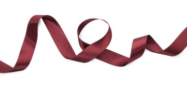 Güzel kestane rengi kurdele, beyaz manzarada izole edilmiş.