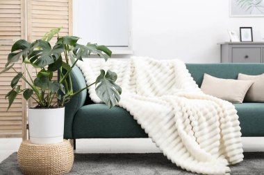 Canavar bitkisi ve rahat kanepesi olan şık bir oda. İç tasarım