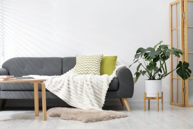 Canavar bitkisi ve rahat kanepesi olan şık bir oda. İç tasarım