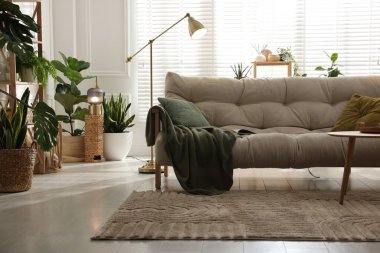 Kanepesi ve çiçekleri olan şık bir oturma odası. İç tasarım