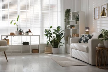 Rahat bir kanepe, diğer mobilyalar ve kapalı alandaki yeşil bitkiler. İç tasarım