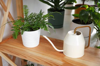 Farklı yeşil bitkiler ve sulama kutuları kapalı, yakın çekim