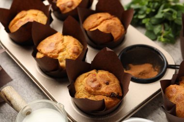 Kuru üzümlü, naneli ve sütlü lezzetli kekler gri masada, yakın plan.