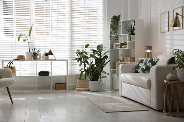 Rahat bir kanepe, diğer mobilyalar ve kapalı alandaki yeşil bitkiler. İç tasarım