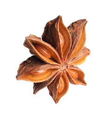 Kuru anason yıldızı beyaz üzerine izole tohumlar ile