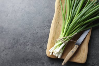 Bir demet taze soğan ve bıçak gri masada, üst tarafta. Metin için boşluk