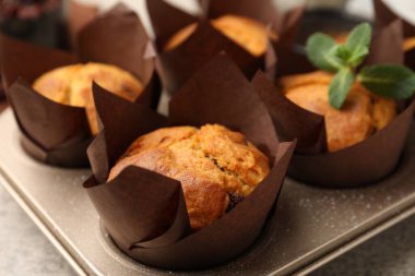 Kuru üzümlü ve naneli çörekler, yakın plan.