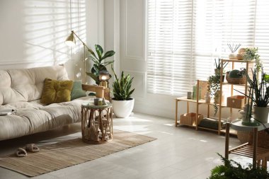 Kanepesi ve çiçekleri olan şık bir oturma odası. İç tasarım