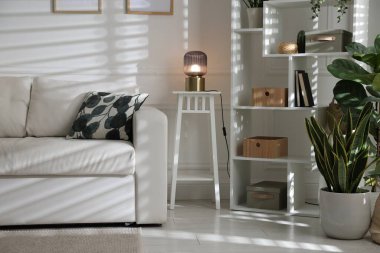 Rahat bir kanepe, diğer mobilyalar ve kapalı alandaki yeşil bitkiler. İç tasarım