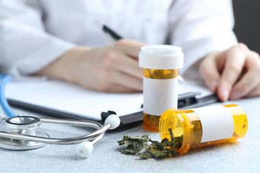 Açık gri masada çalışan doktor, kurutulmuş şifalı bitkilere ve steteskopa odaklan.