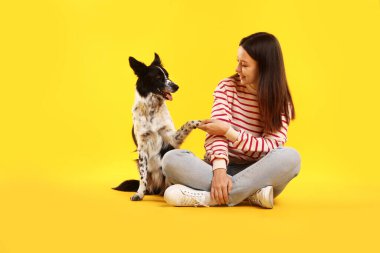Sarı arka planda sevimli Sınır Collie köpeği olan bir kadın.