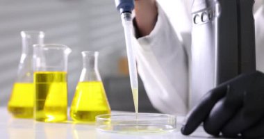 Bilimadamları laboratuardaki masada Petri kabına motor yağı damlatıyor.