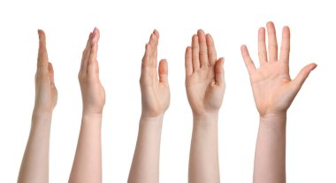 Beyaz üzerinde izole kadın elleri, fotoğraf koleksiyonu