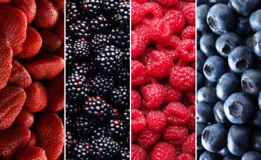 Farklı taze dut kolajı. Çilek, yabanmersini, ahududu ve böğürtlen