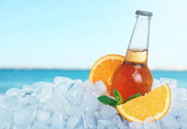 Denize yakın buzda bir şişe bira. Tazeleyici yaz içeceği