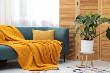 Canavar bitkisi ve rahat kanepesi olan şık bir oda. İç tasarım