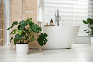 Katlanan ekran ve küvetli banyo iç dekorasyonu