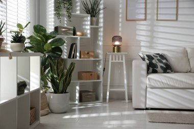 Rahat bir kanepe, diğer mobilyalar ve kapalı alandaki yeşil bitkiler. İç tasarım