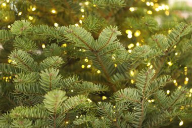 Neşeli ışıkları olan güzel Noel ağacı, yakın plan.