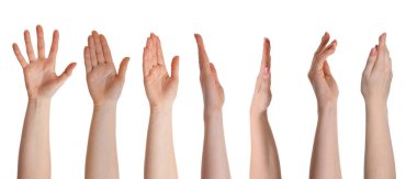 Beyaz üzerinde izole kadın elleri, fotoğraf koleksiyonu