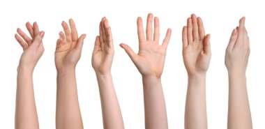 Beyaz üzerinde izole kadın elleri, fotoğraf koleksiyonu