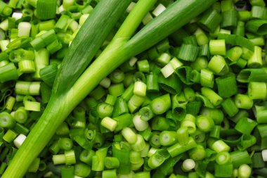 Arka plan olarak taze taze soğan, üst görünüm