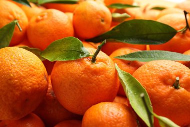 Yeşil yapraklı taze mandalinalar ve arka plan olarak su damlaları, yakın çekim