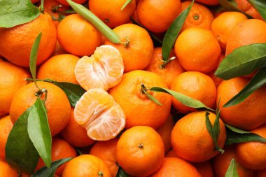 Arka plan olarak yeşil yapraklı taze mandalinalar.