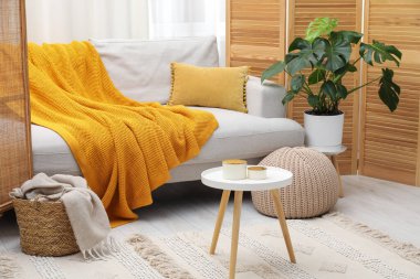 Canavar bitkisi ve rahat kanepesi olan şık bir oda. İç tasarım