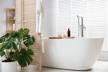 Katlanan ekran, küvet ve saksı banyoda. İç tasarım