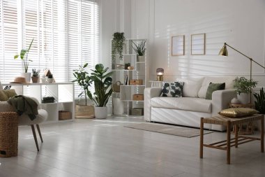 Rahat bir kanepe, diğer mobilyalar ve kapalı alandaki yeşil bitkiler. İç tasarım