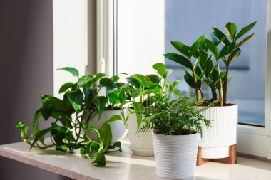 Pencere pervazında güzel saksılar var.