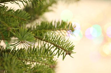 Bulanık Noel ışıklarına karşı güzel bir köknar ağacı, yazı için yeri olan yakın plan. Bokeh etkisi