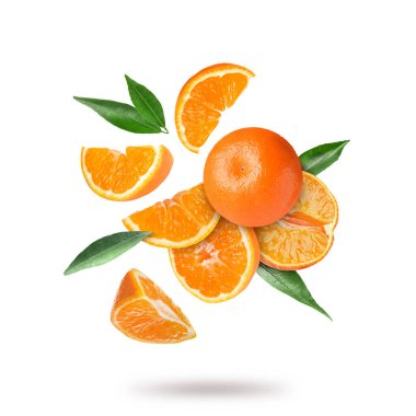 Beyaz arka plana düşen taze mandalina ve yeşil yapraklar. Citrus meyvesi.