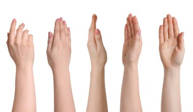 Beyaz üzerinde izole kadın elleri, fotoğraf koleksiyonu