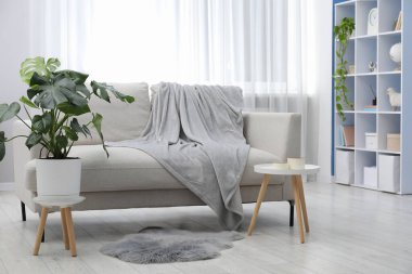 Rahat kanepenin yanında canavar bitkisi olan şık bir oda. İç tasarım