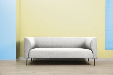 Kanepeli şık bir oturma odası. 2026 yılının renginde iç tasarım