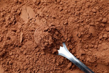 Arkaplan olarak kakao tozu ve kaşık, üst görünüm