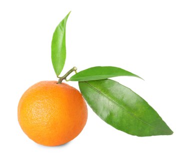 Taze taze mandalina ve beyaz yapraklar.