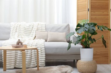 Canavar çiçekli şık bir oda, rahat bir kanepe ve sehpa. İç tasarım