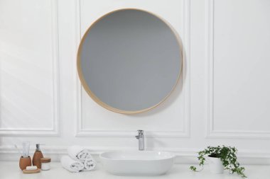 Tarz aynası, damar lavabosu ve banyo bitkisi. İç tasarım