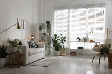 Rahat bir kanepe, diğer mobilyalar ve kapalı alandaki yeşil bitkiler. İç tasarım