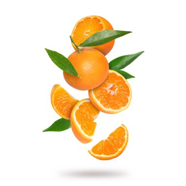 Beyaz arka plana düşen taze mandalina ve yeşil yapraklar. Citrus meyvesi.