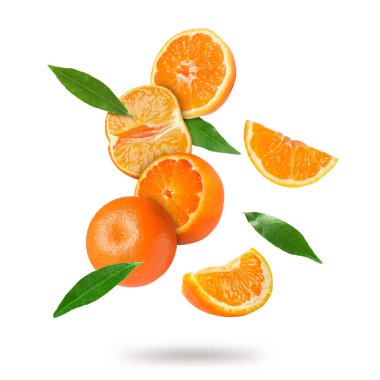 Beyaz arka plana düşen taze mandalina ve yeşil yapraklar. Citrus meyvesi.